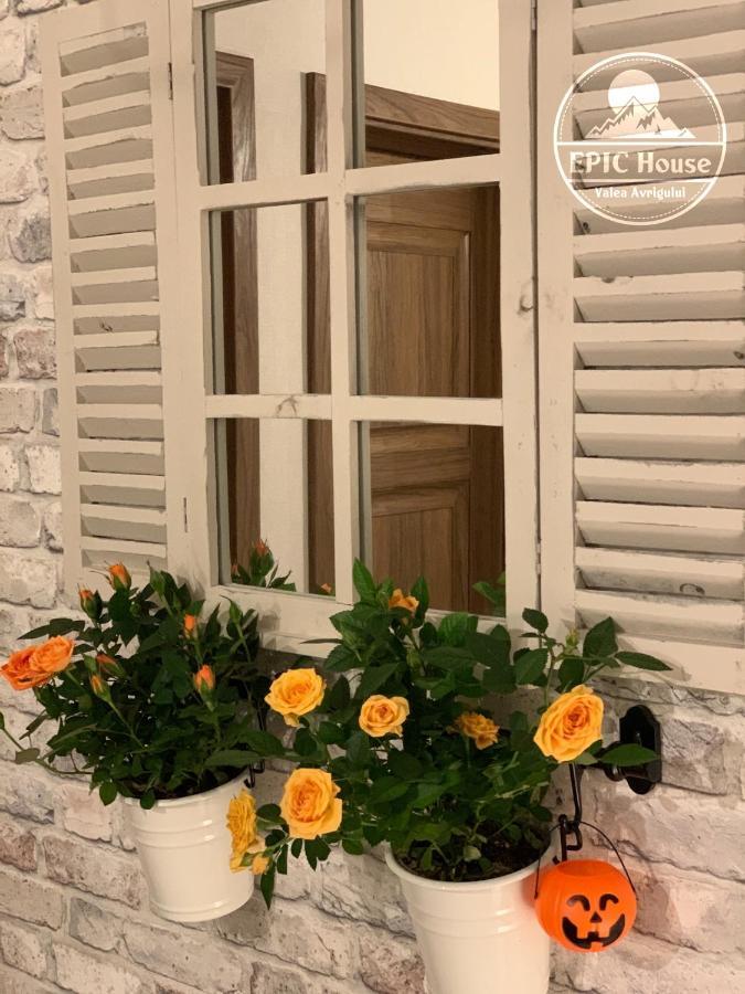Epic House Valea Avrigului Villa Ngoại thất bức ảnh